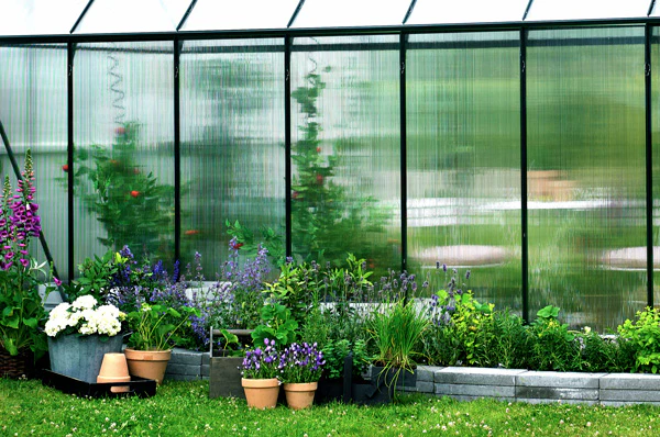 Greenhouse Glass